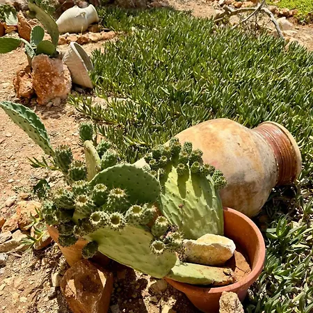 Σπίτι διακοπών Aria - Sorgo *